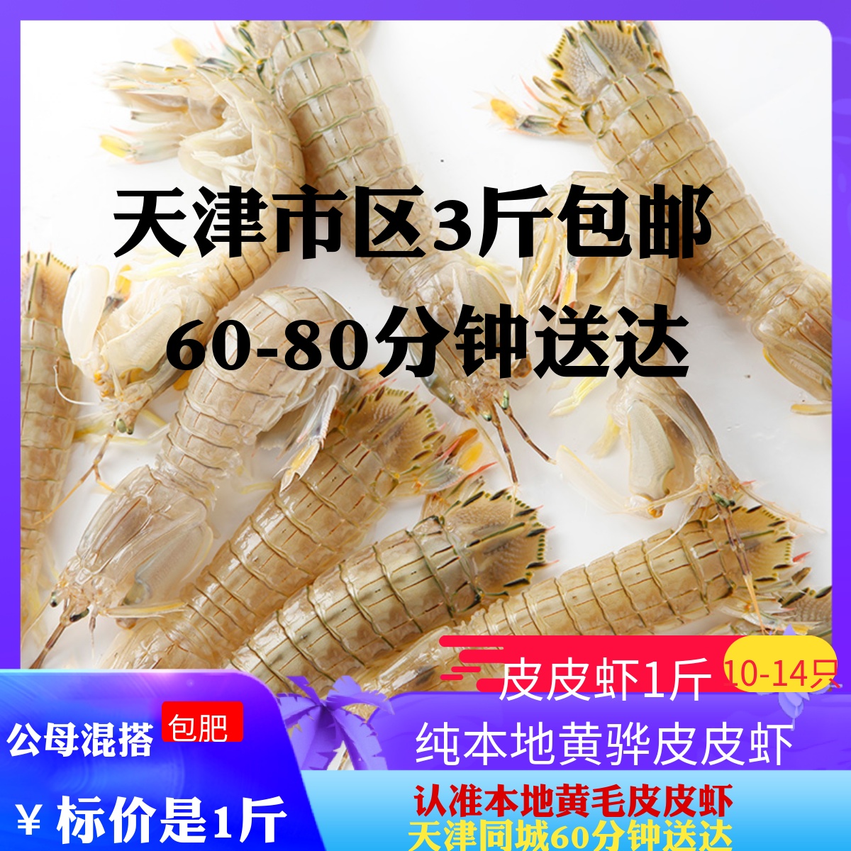 天津本地皮皮虾鲜活大虾虾爬子全公母满籽肉精品海虾螃蟹海鲜水产
