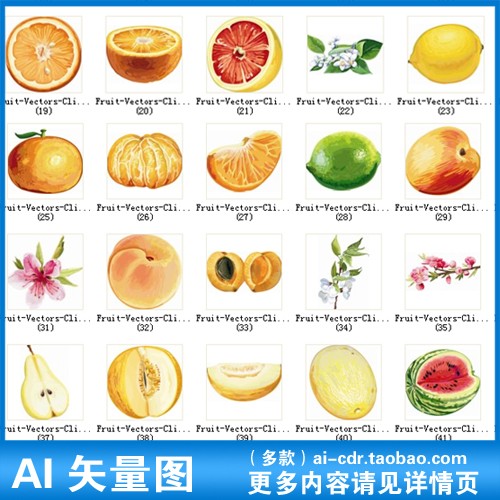 A429手绘水果葡萄苹果菠萝橙子柠檬桃子AI矢量图设计素材