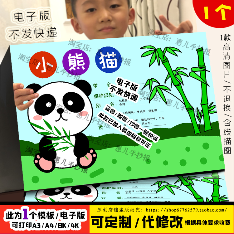 动物名片熊猫手抄报动物小熊猫生活习性生长环境电子小报线稿涂色