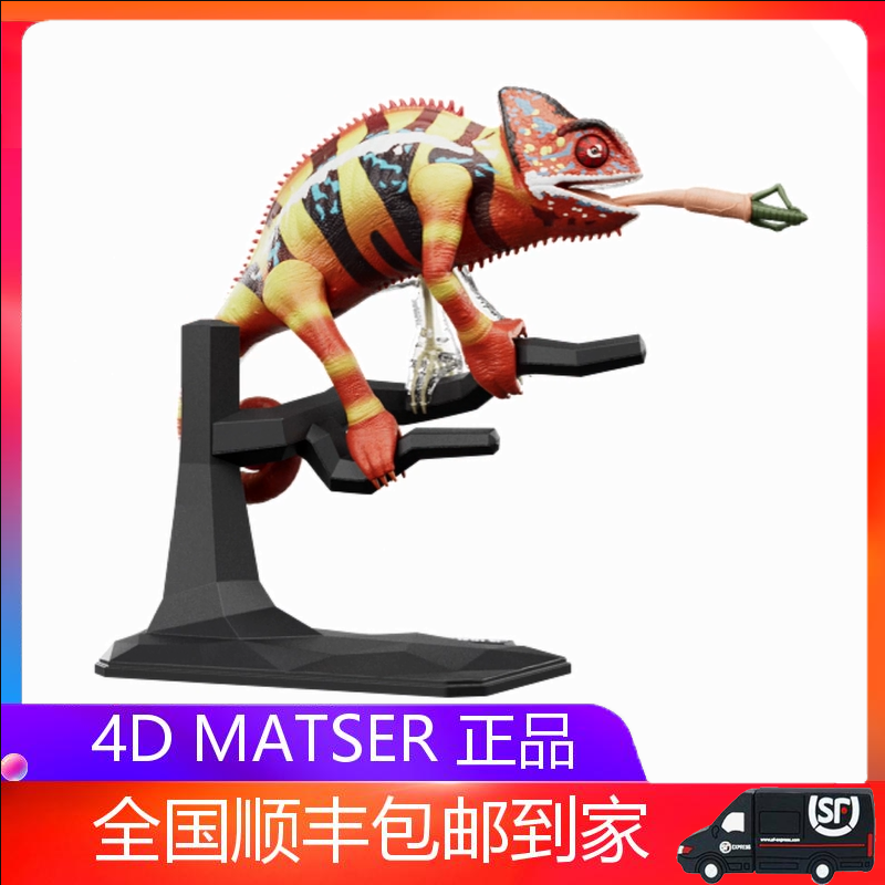 4D MASTER变色龙模型仿真内脏器官骨骼解剖动物教学用具拼装玩具