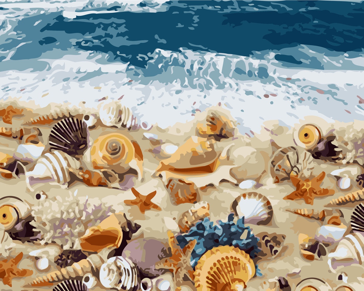 DIY数字油画自己填色贝壳海边沙滩海螺海星珍珠纸船家居装饰新款
