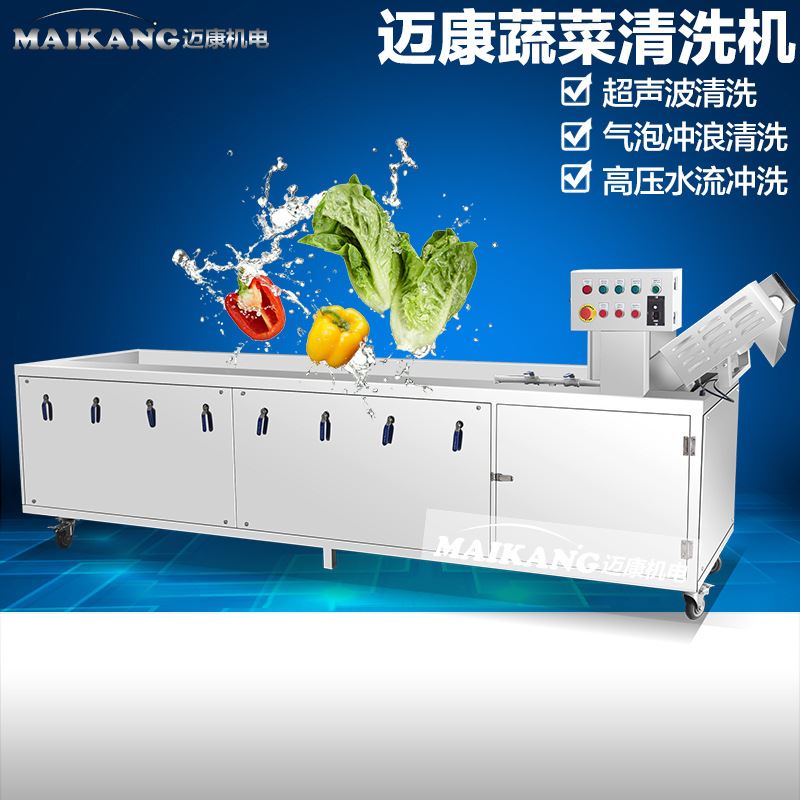 厂家现货全自动刺梨清洗机 商用多功能洗菜机 小型果蔬清洗机