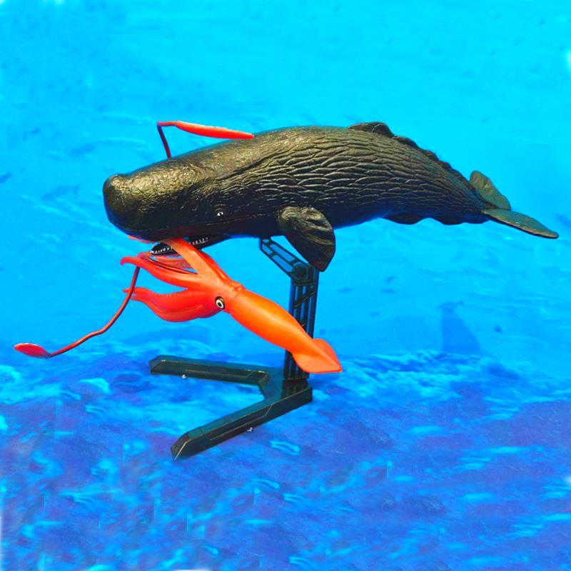 大王乌贼玩具抹香鲸模型章鱼鱿鱼八爪鱼模型巨型枪酸浆海洋动物