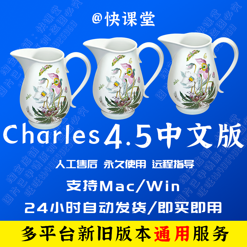 Charles查尔斯抓包工具电脑手机激活授权支持win和mac服务