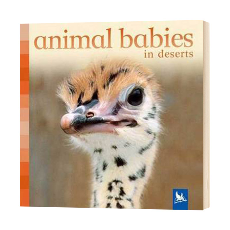 沙漠中的小动物 英文原版 Animal Babies in Deserts 儿童英语启蒙读物 纸板书 英文版进口原版书籍
