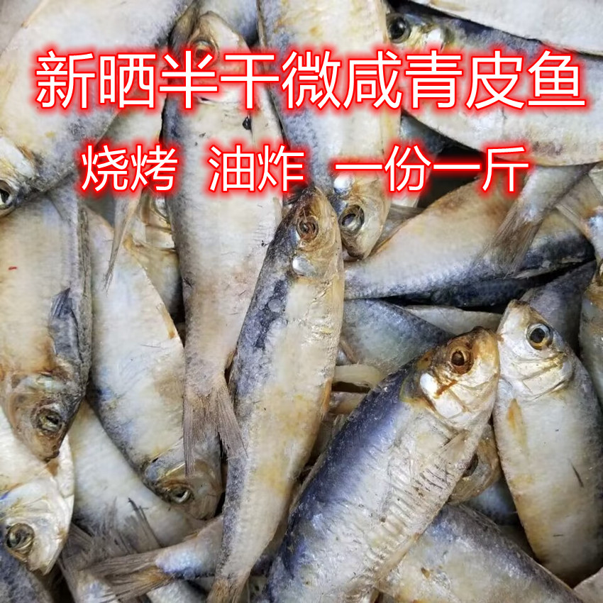 青皮子鱼