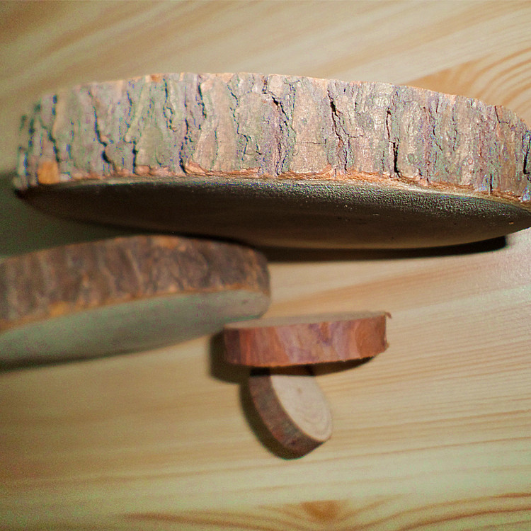 香樟年轮木片 带皮烘干有香气的年轮圆木板 驱虫防蛀绘画木板杯垫