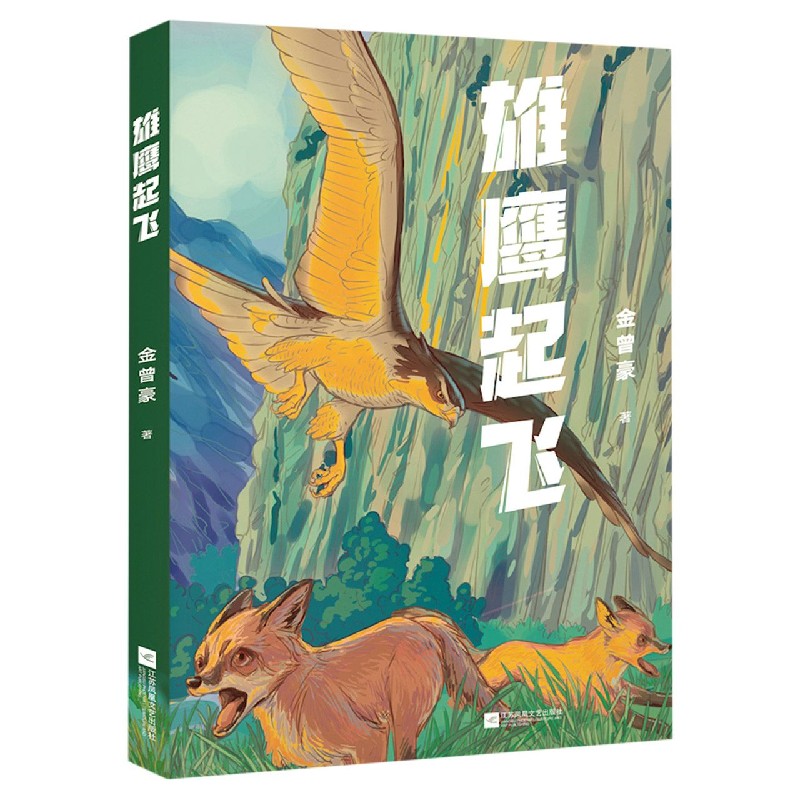 正版 雄鹰起飞 中文分级阅读七年级 12~13岁 阅读滋