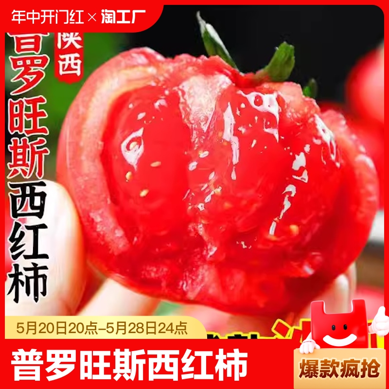 陕西正宗普罗旺斯西红柿应季新鲜番茄自然熟沙瓤生吃蔬菜大果礼盒