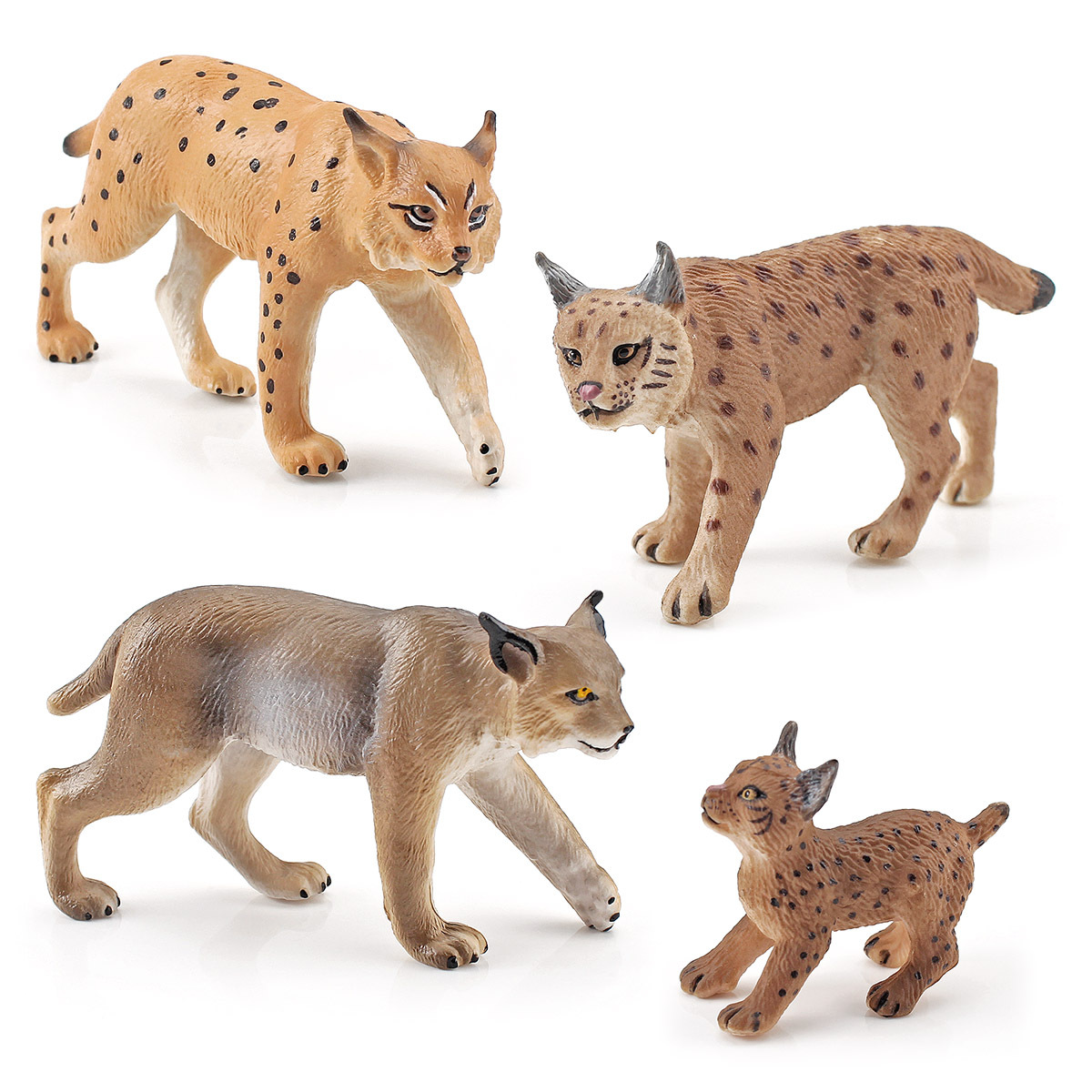 跨境儿童科教仿真野生动物猞猁山猫野狸子猞猁狲装饰模型摆件玩具
