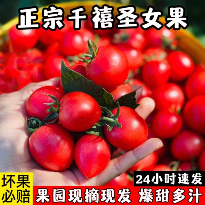 冰糖千禧圣女果新鲜西红柿小番茄普罗旺斯助农水果批发市场旗舰店