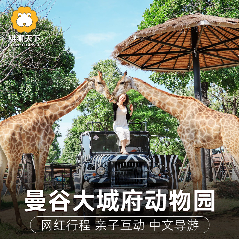 泰国曼谷大城府狮子园包车一日游 昆凌同款长颈鹿拍照 亲子动物园