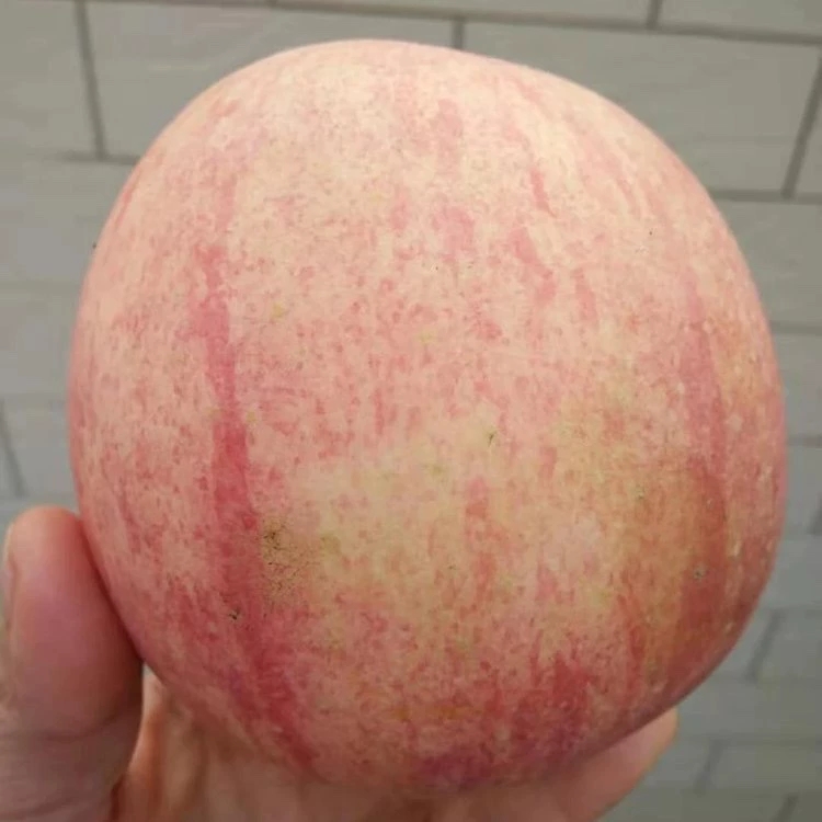 高山纸膜水晶苹果净重8.5斤，高山果园超鲜直采，好吃有颜值