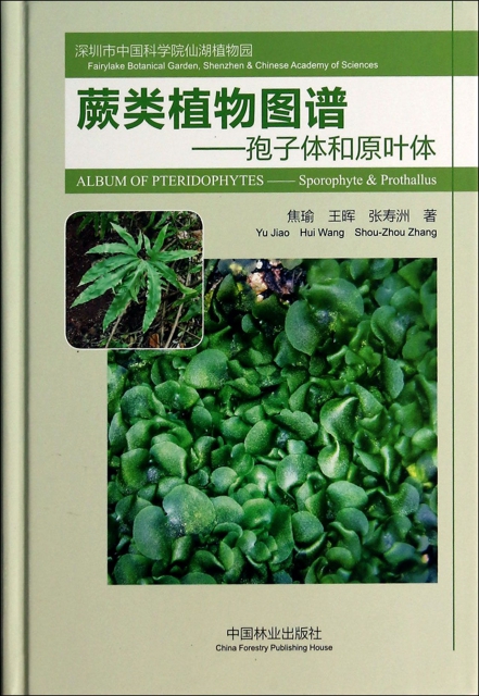 保证正版】蕨类植物图谱--孢子体和原叶体(精)焦瑜//王晖//张寿洲中国林业