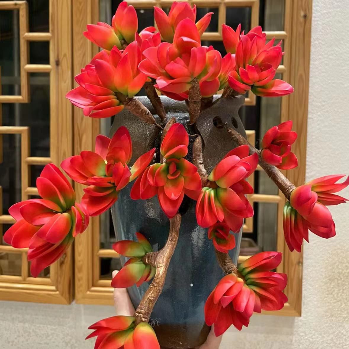 老桩多头火祭多肉植物四季红色新手入门室内阳台办公室花卉盆栽