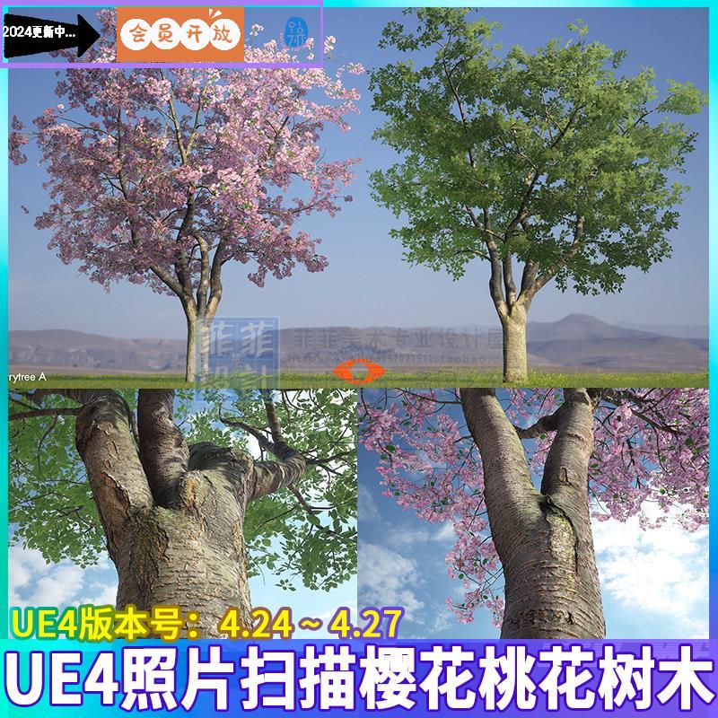 UE4虚幻 写实3D扫描樱花树桃花树樱桃树木叶子地表植被场景3D模型