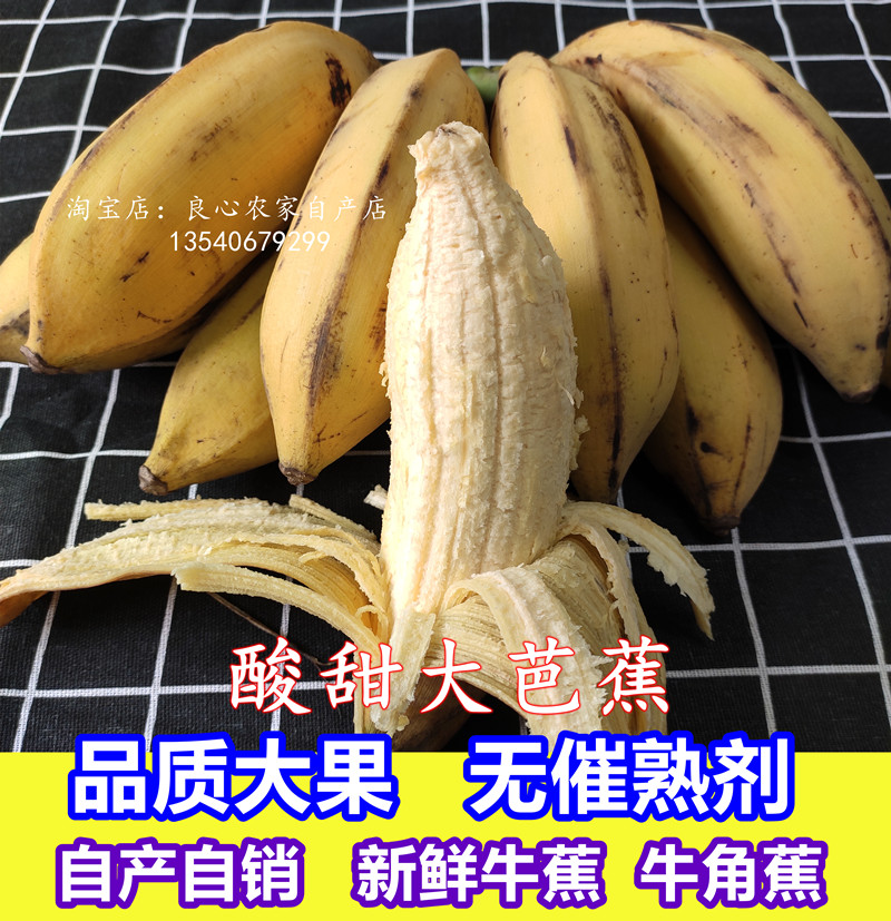广西芭蕉牛蕉牛角蕉酸甜大芭蕉酸香蕉新鲜水果香蕉巴蕉非小米蕉