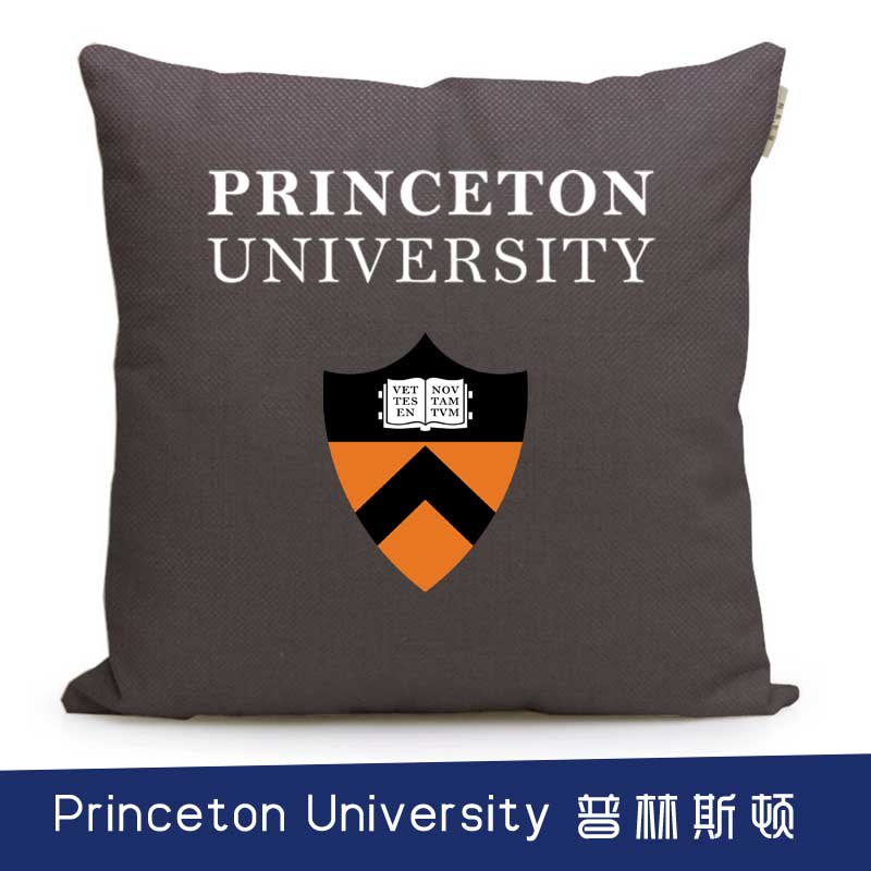 美国名校周边 普林斯顿大学纪念品校徽标志定制留学生靠垫抱枕