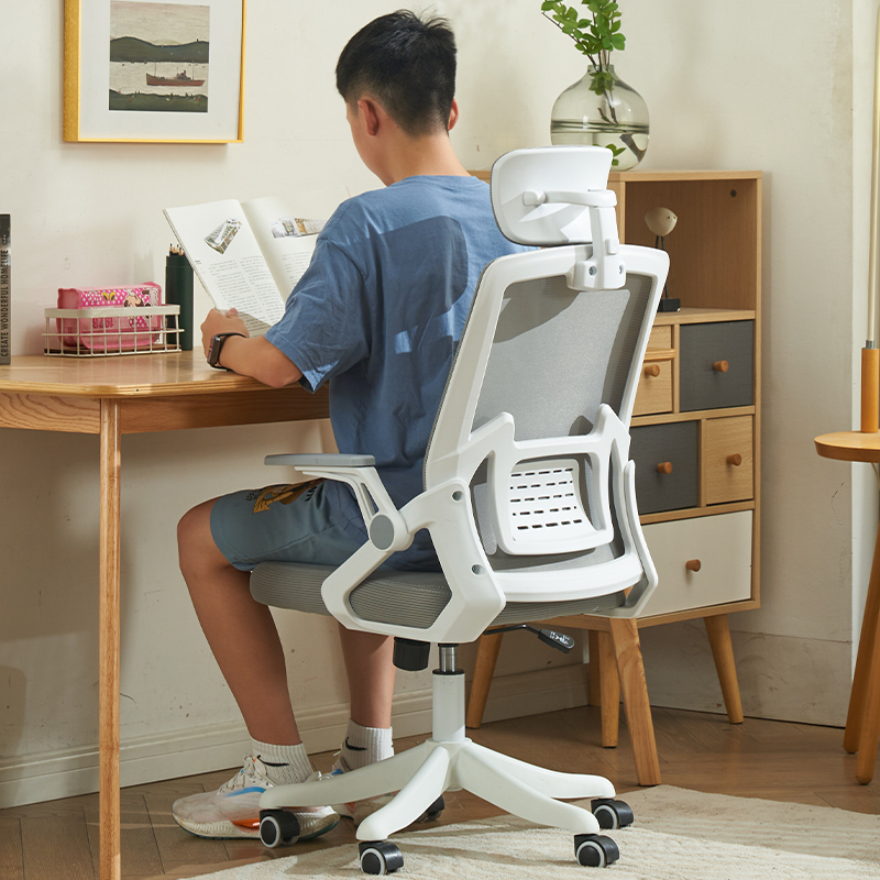 电脑椅家用舒适久坐办公椅人体工学椅子宿舍学生学习椅书房书桌椅