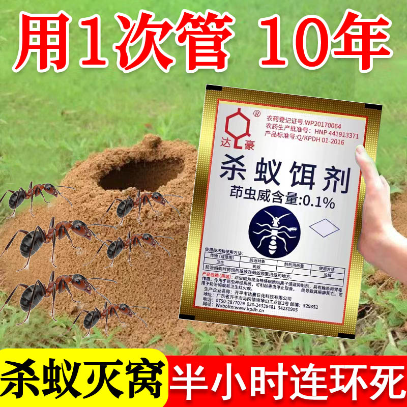 蚂蚁药家用非无毒一锅端玛蚁灭杀虫专用药户外草地园林小黄马义xf