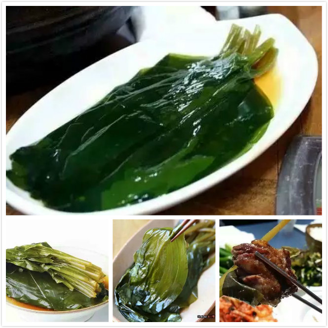 韩国泡菜 茗荑菜 寒葱 茖葱 山蒜叶 酸甜口味 野生 烤肉包饭伴侣