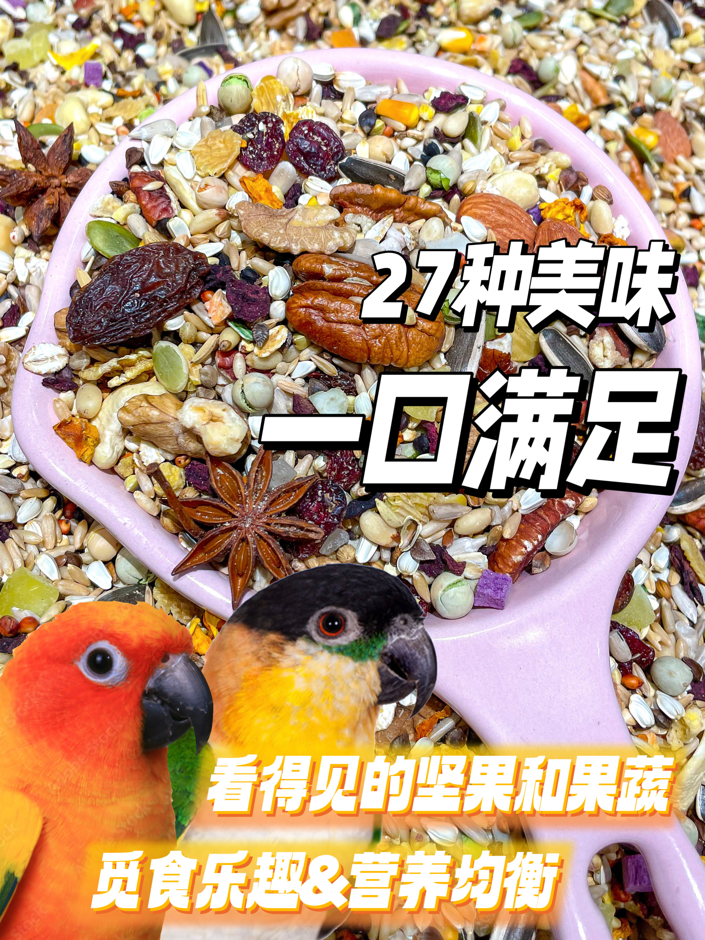 金太阳小太阳凯克和尚鸟粮鸟食饲料专用粮热带水果坚果系列种子粮