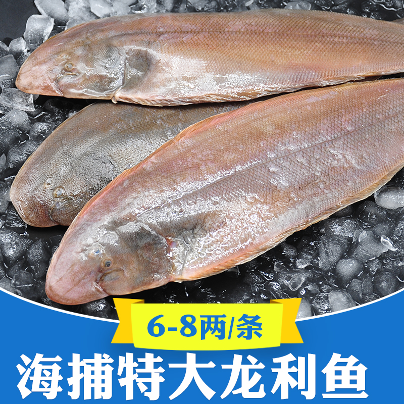 青岛龙利鱼3斤舌头鱼新鲜冷冻踏板鱼带皮鲜活海鲜海鱼牛舌鱼板鱼