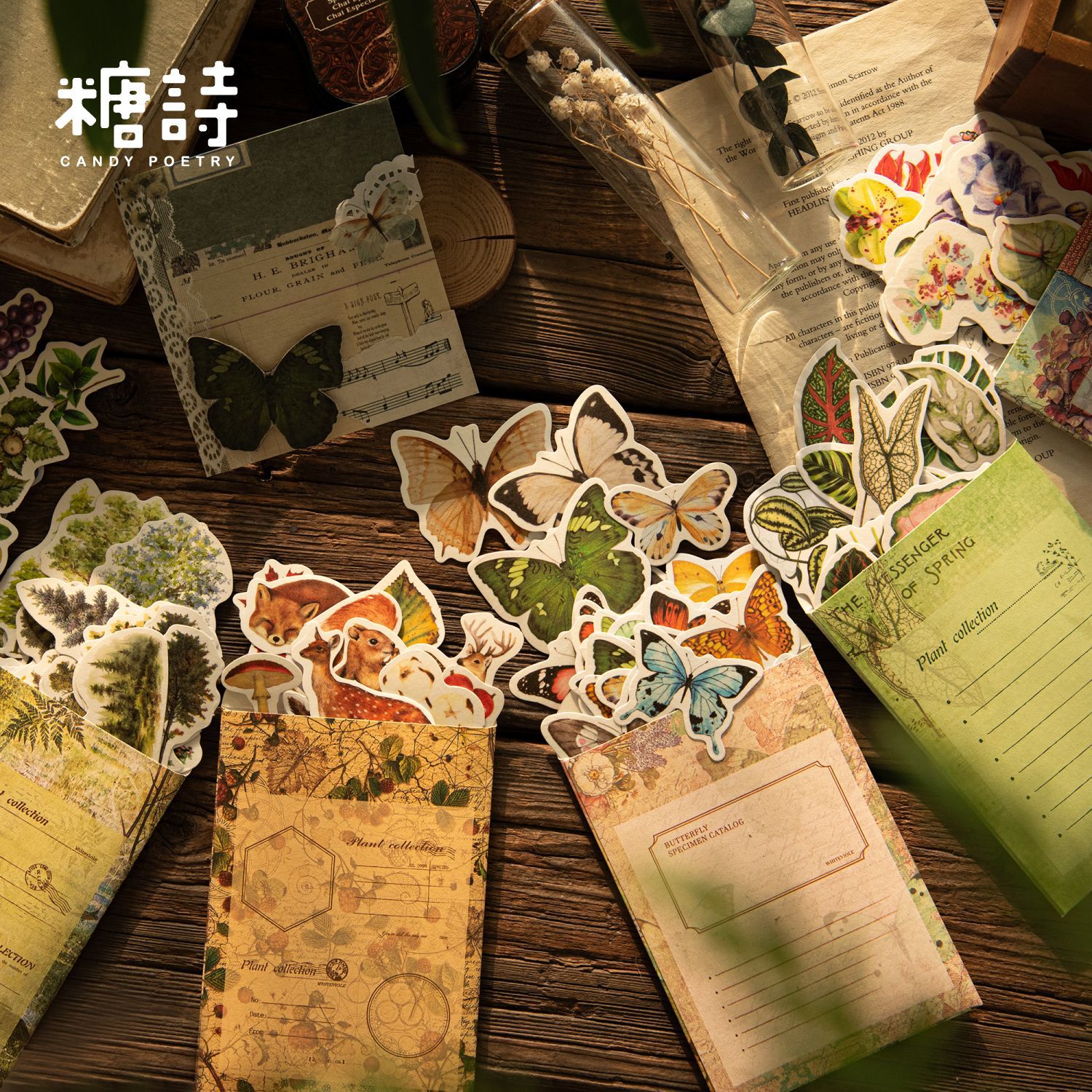 z和纸贴纸包 自然观察室 复古蝴蝶植物花卉DIY手帐咕卡贴画50张