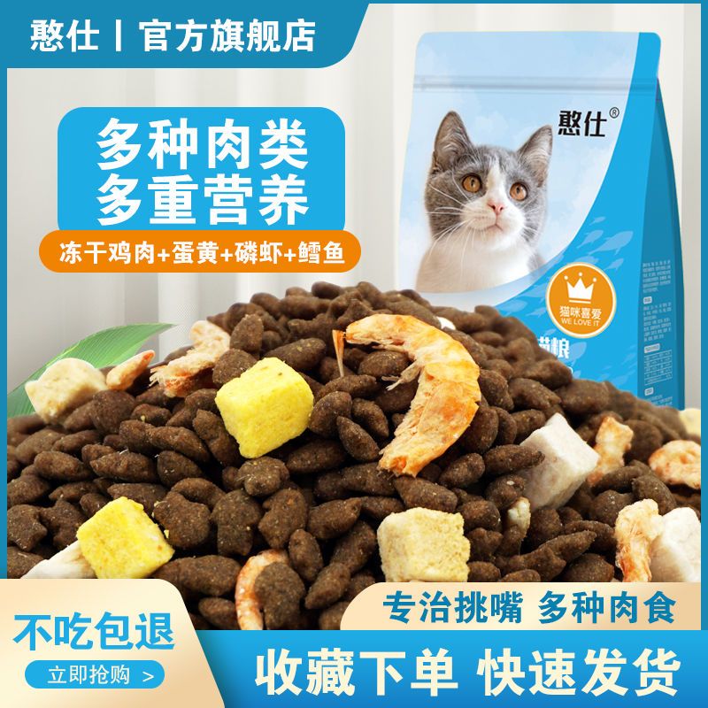 猫粮幼猫1-12个月三文鱼味幼猫专用主粮离乳期奶糕天然小猫咪猫食