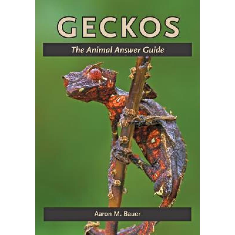 【4周达】Geckos: The Animal Answer Guide [9781421408538]