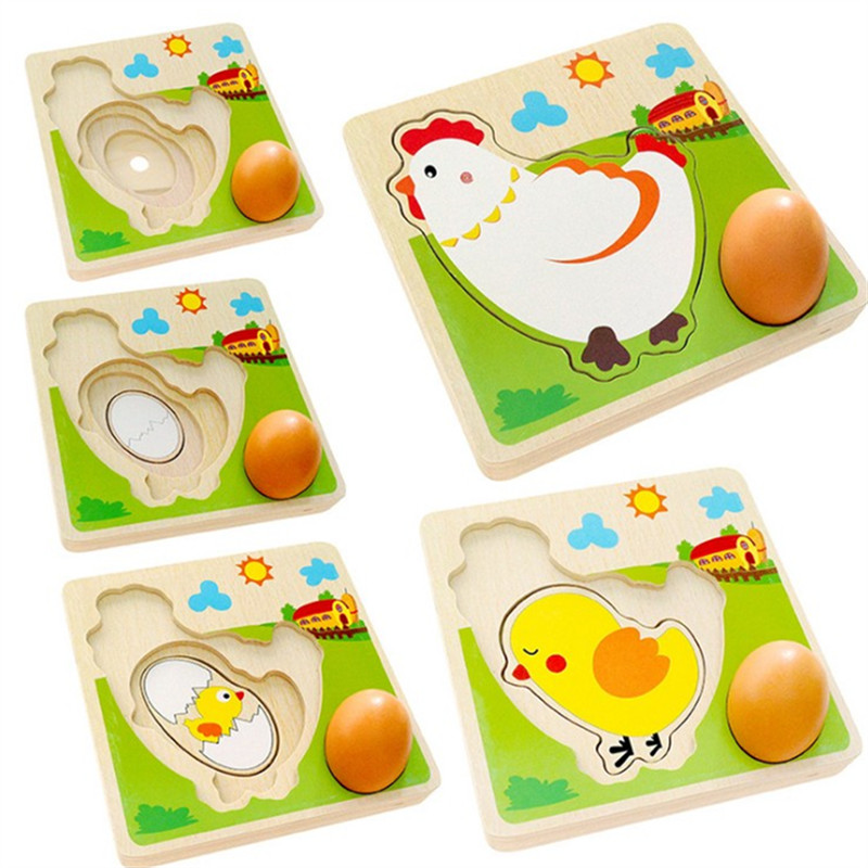 幼儿园科学区角材料母鸡成长下蛋过程拼图科学发现室材料教玩具