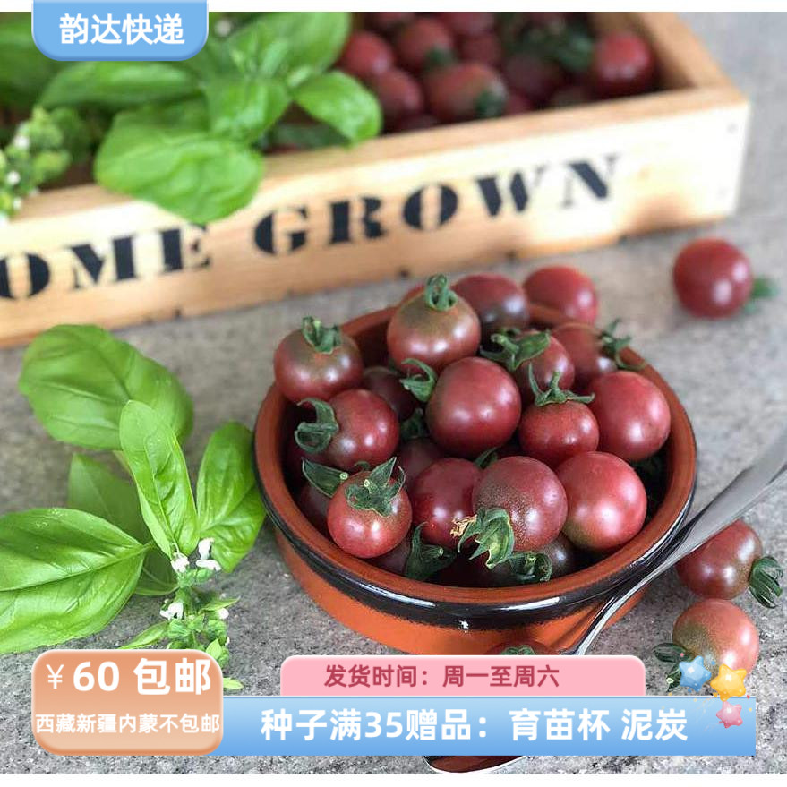 【种子】 无限生长型 樱桃番茄 小西红柿  罗塞拉 5粒
