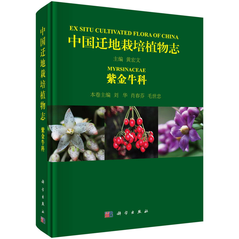 紫金牛科植物