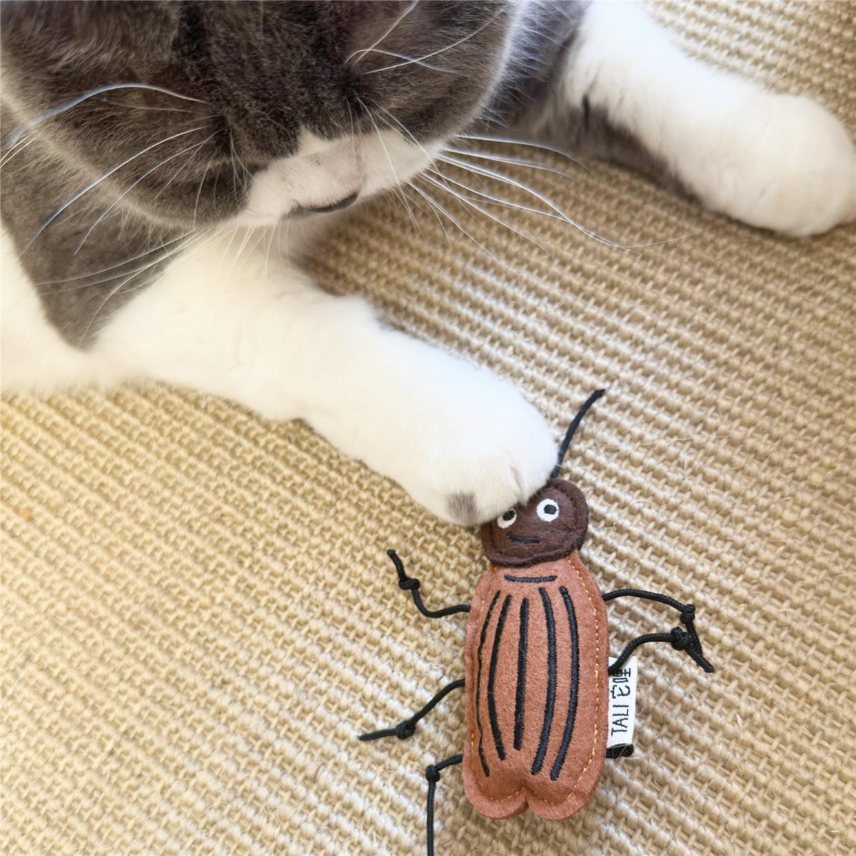 TALI它哩昆虫系列猫薄荷响铃玩具耐咬毛毡磨牙可爱蟑螂瓢虫蜻蜓