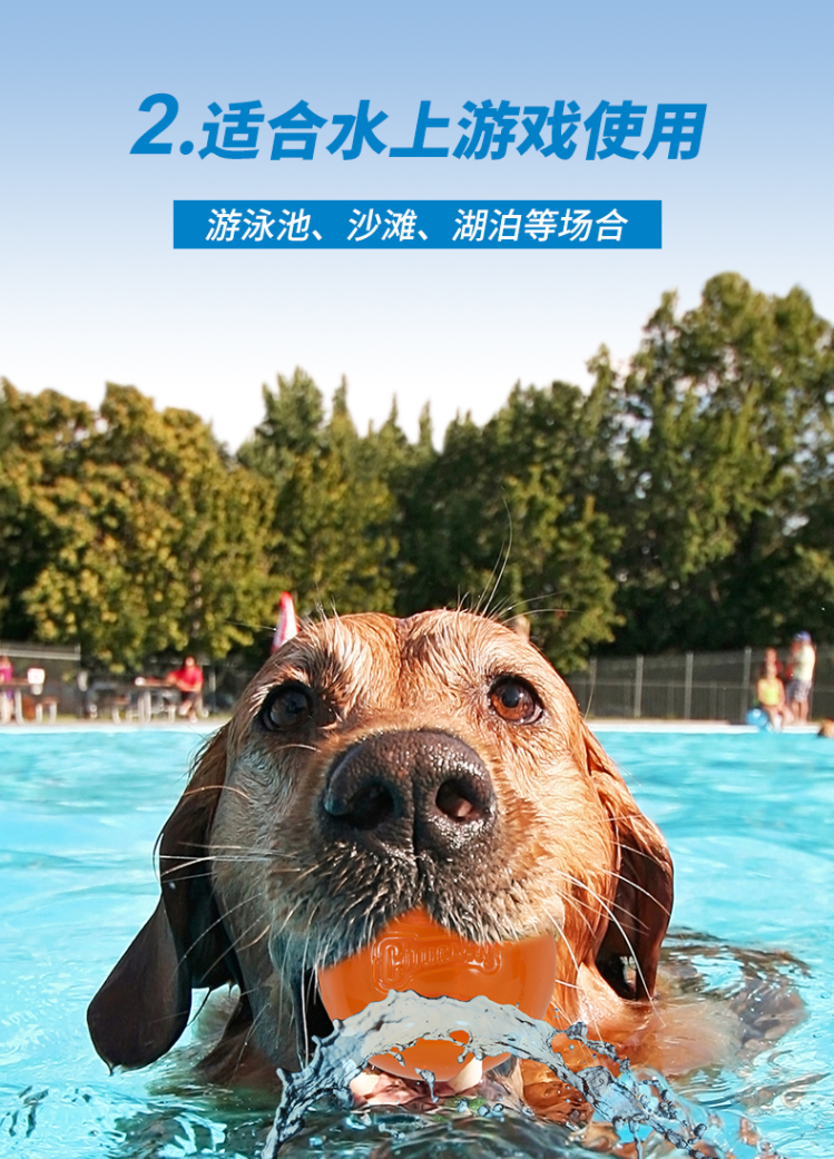 Petmate狗狗夏季游泳沙滩水球互动训练啃咬浮水飞盘巡回拔河玩具
