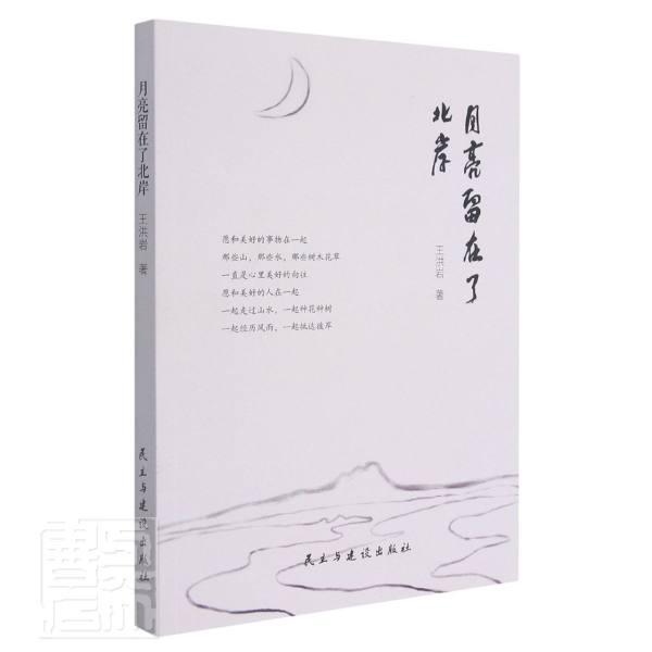 月亮留在了北岸书王洪岩诗集中国当代普通大众文学书籍