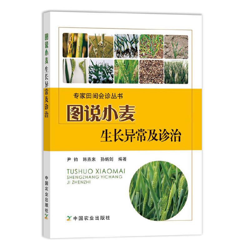 【书】图说小麦生长异常及诊治 中国农业出版社小麦农业种植技术大全小麦苗种植病虫害书农业农作物种植小麦种植技术书籍
