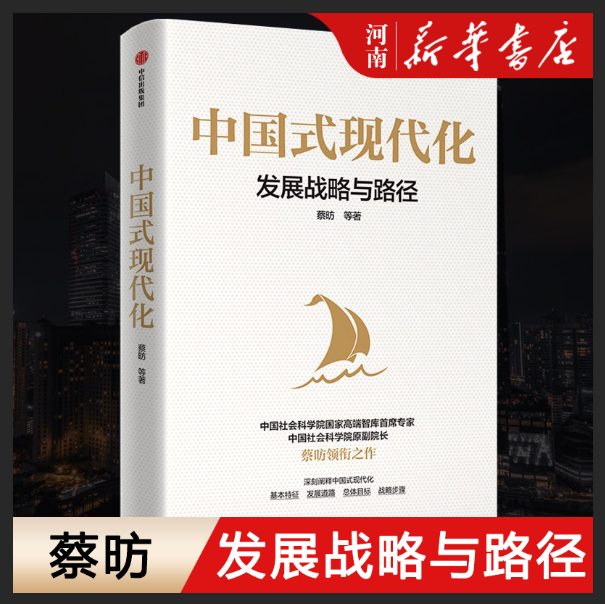 中国式现代化 发展战略与路径 蔡昉著作  读懂中国发展路径 共同富裕 企业创新 中信出版社 经济理论