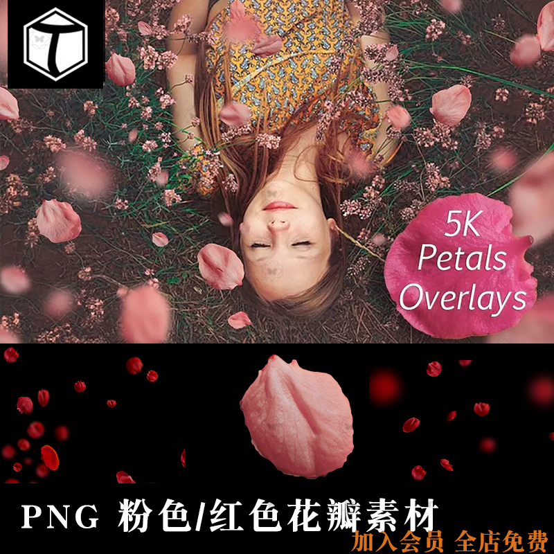 粉色红色花瓣玫瑰樱花飘落的花瓣PSD设计素材元素PNG免扣图片PS