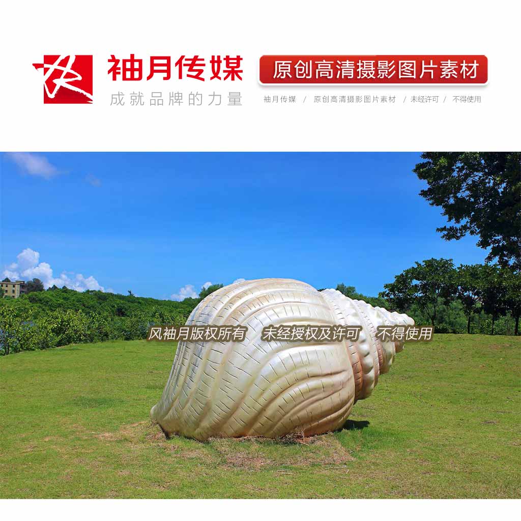 1张草地上的大海螺雕塑高清摄影图片素材公园绿地背景图片素材