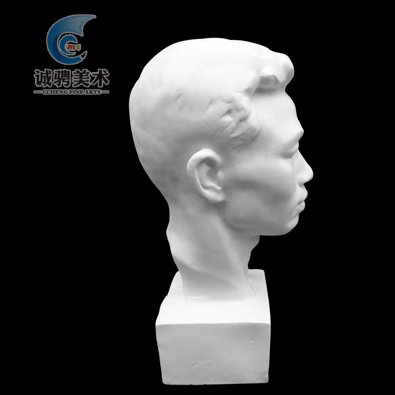 促中国青年石膏头像人物石膏像中国青年教具美术素描静物雕塑摆厂