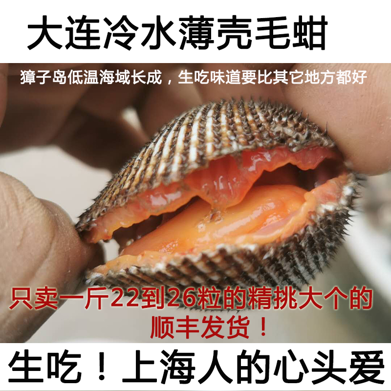 顺丰】净4斤现捞薄壳毛蚶血蛤可生吃鲜活毛蛤赤贝
