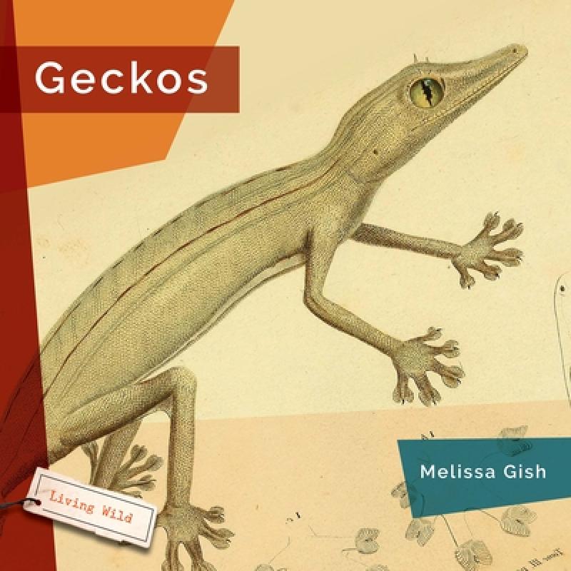 【4周达】Geckos [9781682773345]