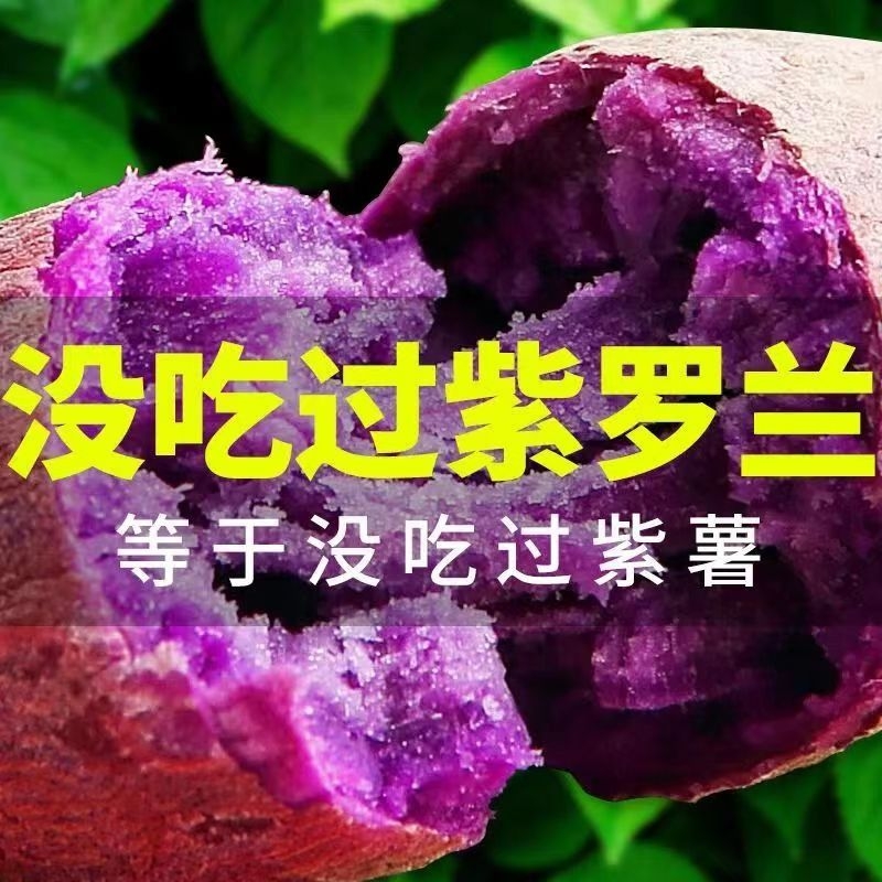 新鲜糖心紫薯5斤板栗红薯紫罗兰番薯地瓜蜜薯山芋烟薯蔬菜紫心