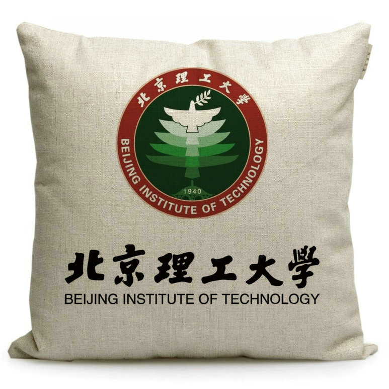 北京理工大学纪念品周边定制文创礼品学生靠垫午休枕头沙发抱枕