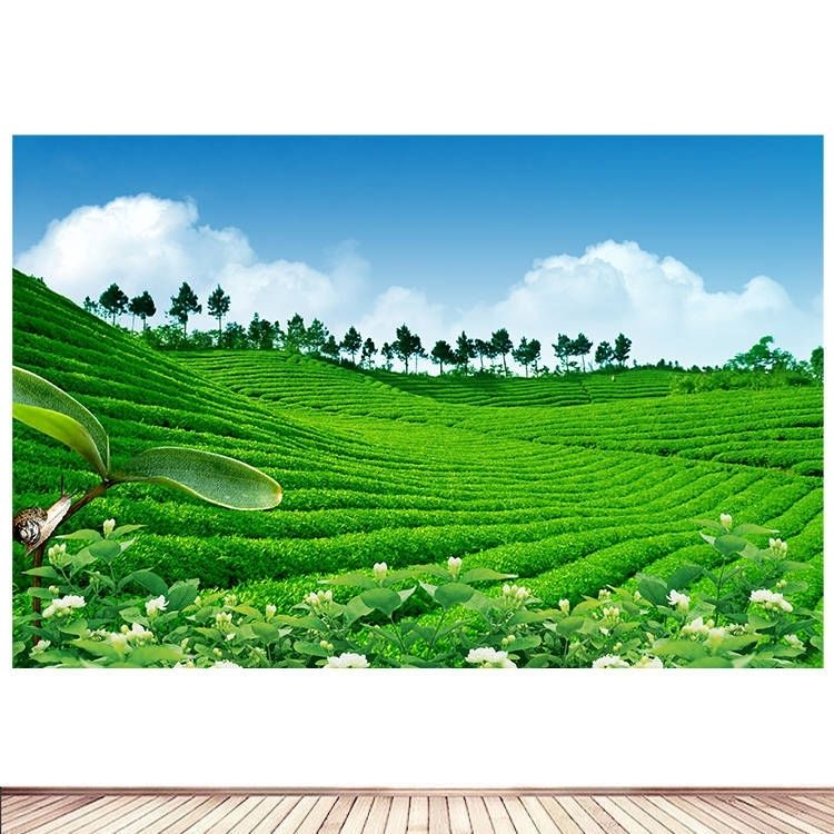 绿色茶山茶园茶叶海报制作茶馆茶叶店客厅茶楼贴画自然风景墙画9
