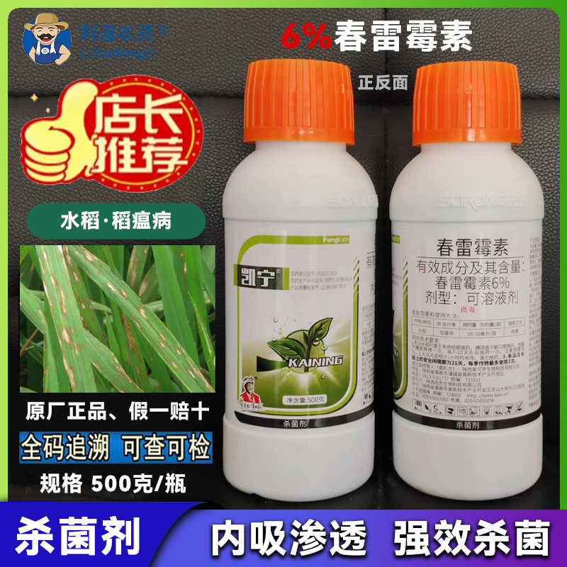正品凯宁6%春雷霉素农药杀菌剂水稻温病防治合一强效杀菌500g一瓶