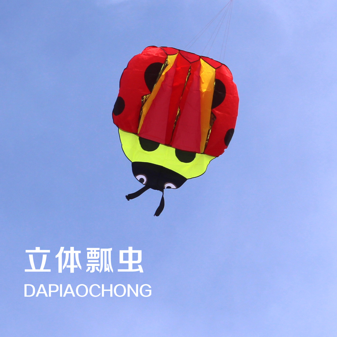 潍坊风筝 高档软体瓢虫风筝 新款立体卡通好飞易飞大型成人风筝