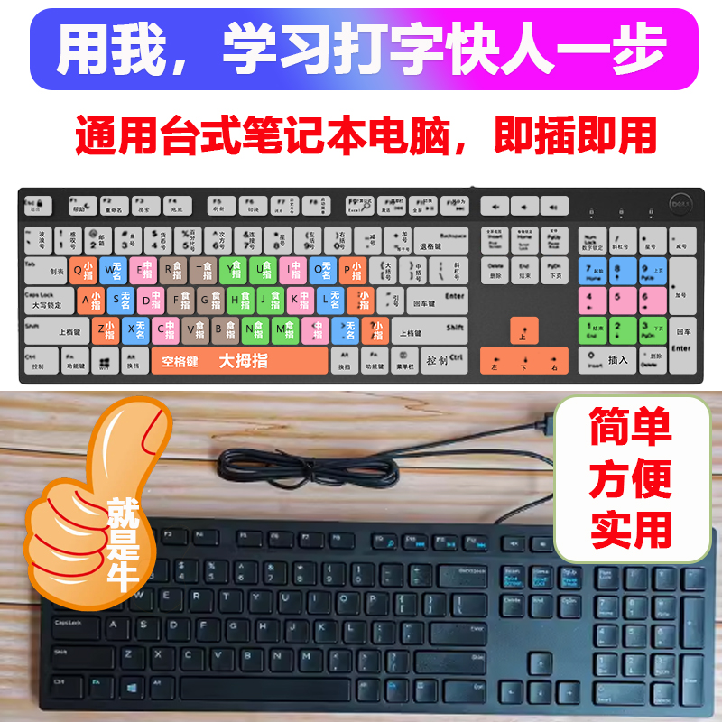 2024新款【全中文功能键】指法分色笔记本键盘保护膜学生打字神器