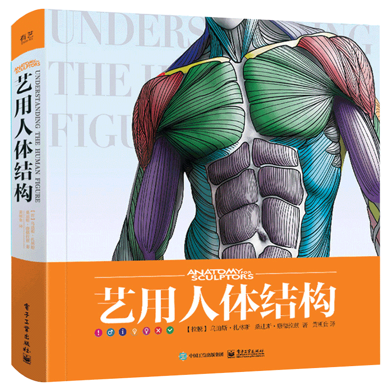 正版艺用人体结构 全彩精装理解人体形态 人体结构骨骼肌肉造型解剖学基础教程素描书绘画入门教材人体结构教学书籍 电子工业